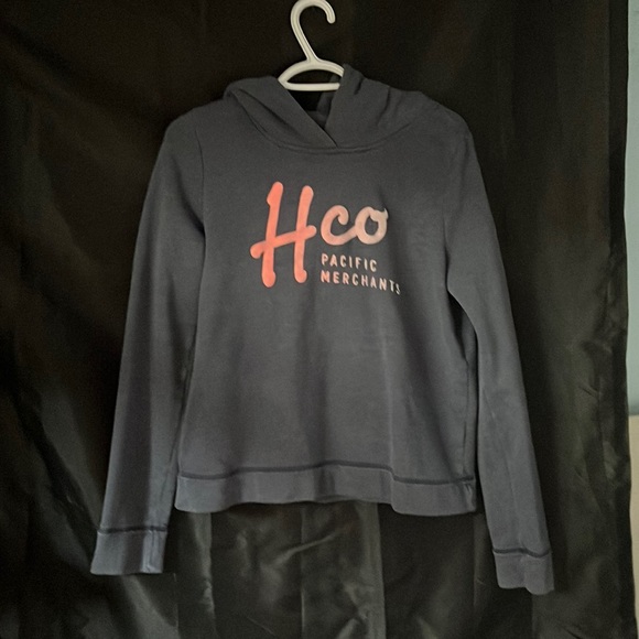 Hollister gray hoodie - Picture 1 of 1